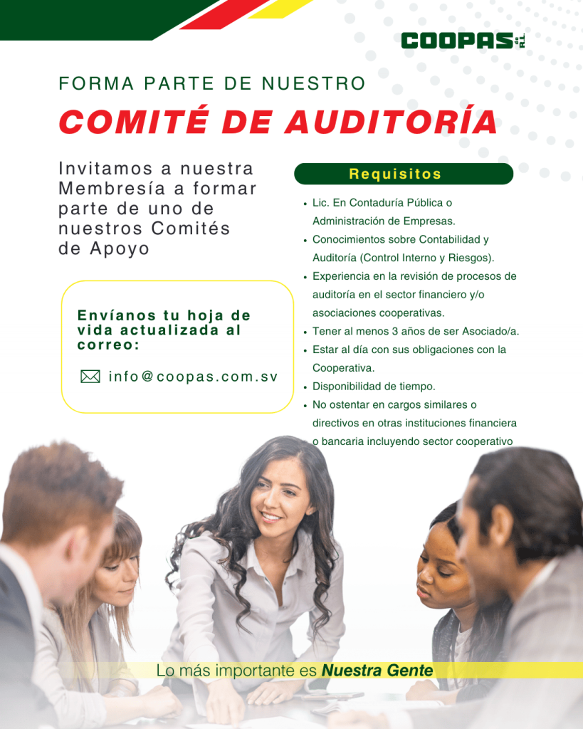 Comite de Auditoria