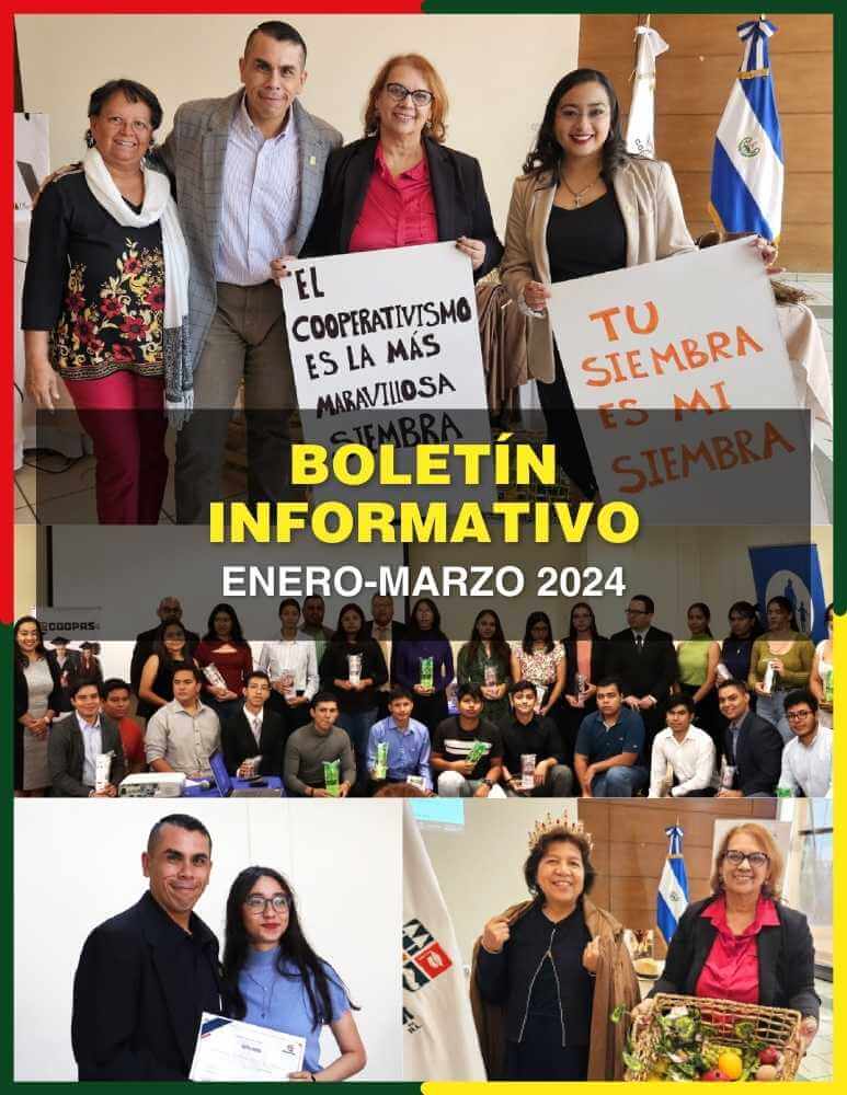 boletin informativo